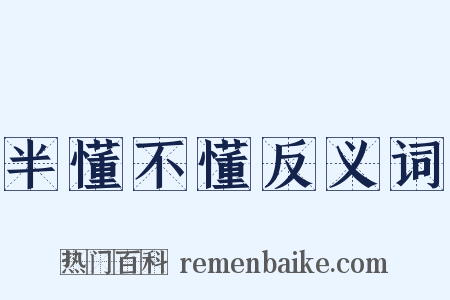 半懂不懂反义词是什么意思的图片